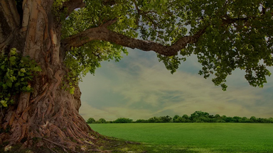 石家莊模具_石家莊注塑_石家莊塑料_石家莊星永塑料模具有限公司